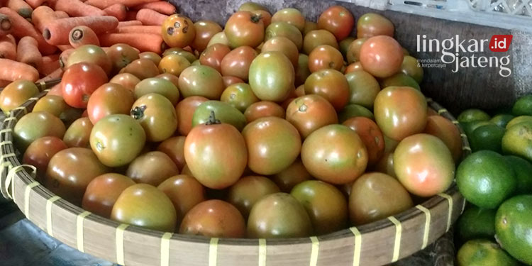 Harga-Tomat-Tembus-Rp-20-Ribu-per-Kg-di-Semarang.jpg